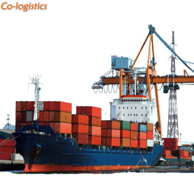 DDP Fast Cargo Ship Sea Freight Forwarder Shipping Agent