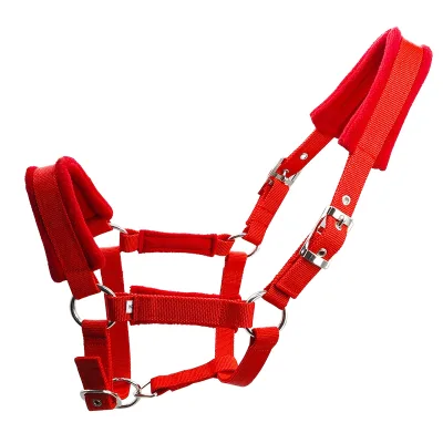 Hot Sale Durable B-rings Woven PP Rope Halter Livestock Horse Halters Multiple Colors Black Blue Red