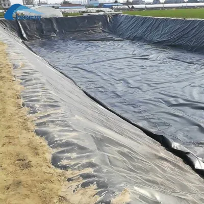 Custom Thickness HDPE Geomembrane Roll 100% Virgin Material with CE Certification for Civil Engineering Projects