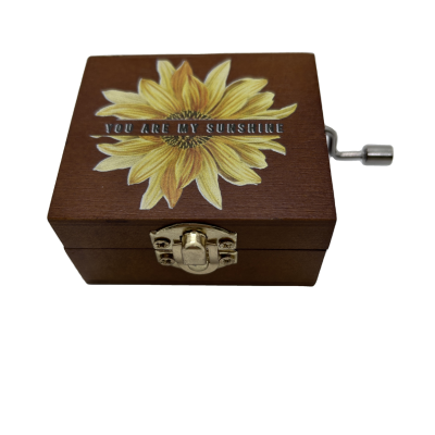 New Design Music Box Wooden Music Box Gift Hand Movement Music Box