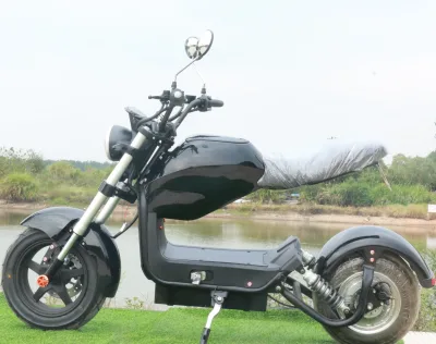 Brushless Motor Fast 1500W Two Wheels Ebike Chinese Electric Scooters for Adult