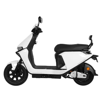 Fulun 48V 12Ah Electric Bicycle 3-speed Brushless Rear Hub Motor 250W Hydraulic Disc Brakes Steel Frame Electric City Bicycle