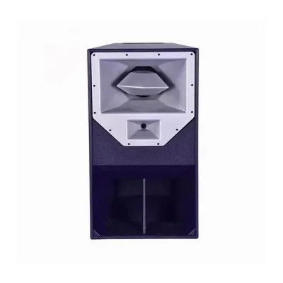 Hot Selling 15 Inch 3-channel Full Range Stage Speaker, Suitable for bar Outdoor Activities DJS