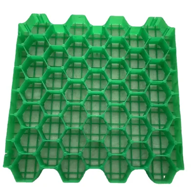 Eco Friendly Grass Grid Paver Permeable Plastic Grass Paving Grid for Outdoor Parking Fire Emergency Lane