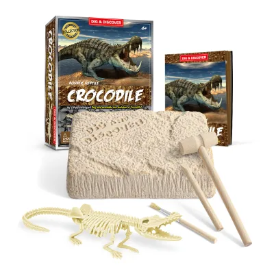 Stem Educational Toy Collection Practice Logical Thinking Amazing Child Gift Animal Model Toy Set crocodile Skeleton Dig Kit