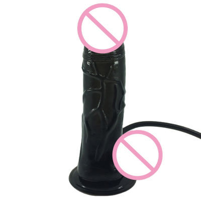 Silicone Penis Vibrator Sex Toys Inflatable Dildo for Woman