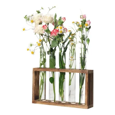Long Clear Glass Tube Vase Hand Blown Glass Vase Hydroponic Arrangement Flower Glass Vase