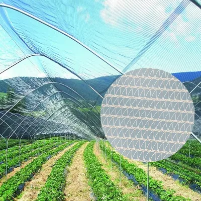 Citrus Apple Tree 50gsm Vineyard Farm Orchard Netting Hail Netting Orchard Anti Hail Net for Kiwi Trees