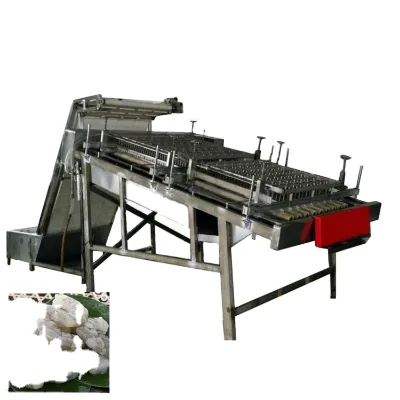 Shrimp Automatic Shrimp Peeler Machine Shrimp Peeling Deveiner Machine