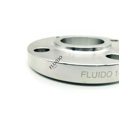 Diameter Customized 304 Stainless Steel RF Plate Welding Neck Flange