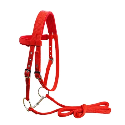 20mm PP Webbing Bridle Reins White Nickel Plated Horse Chew with Sponge Cushion LT5000 Made in China