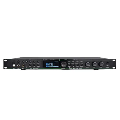 Professional Karaoke DSP Processor With 3-Channel Mic Inputs Metal Microphone