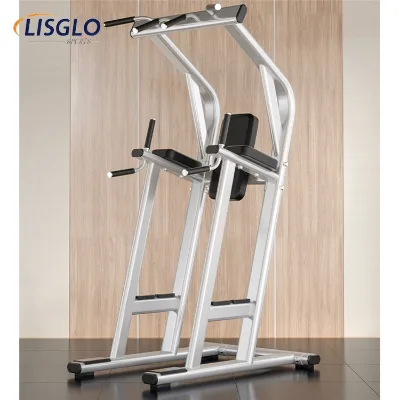 LISGLO Stainless Steel Home Single & Double Bar Indoor Pull-Up Knee Raise Arm Extension Gym Equipment Rack