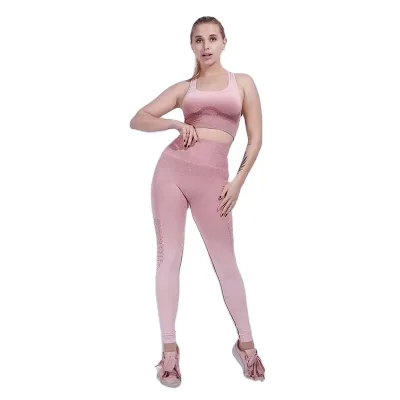 Seamless Skinny Fitness Pants Hip Lifting Gradient Stretch Sports Running Yoga Skipping Pants Bra Set for Women
