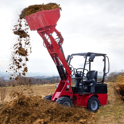 Famous Brand New Loader Loader with High Quality for Cheap Sale