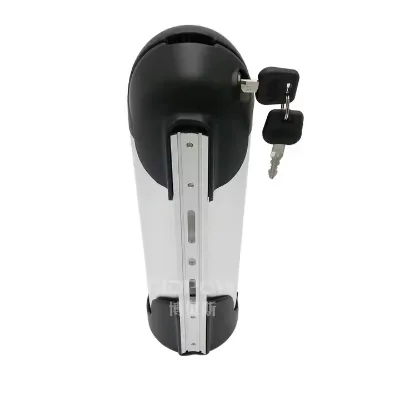 OEM Customized 24V 36V 48V E-Bike Battery Water Bottle Lithium Ion 10Ah 15Ah 17.5Ah 21A for Electric Bicycles