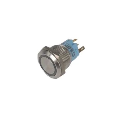 19mm Car Red/Blue/Green LED 12V Momentary Metal Push Engine Start Push Button Switch