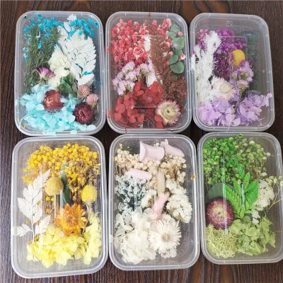 Natural Dried and Preserved Flowers DIY Flowers Mixed Color Box Dried Flowers for Scented Candle Floating Bottle