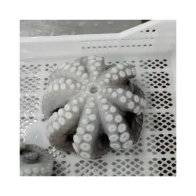 EU Market Flower Shape IQF Octopus