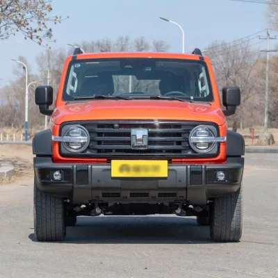 2025 Hot Selling  Cheap Price and Hight Quality Tank 300 Hi4-T  Plug-in Hybrid New Energy Car for Sale