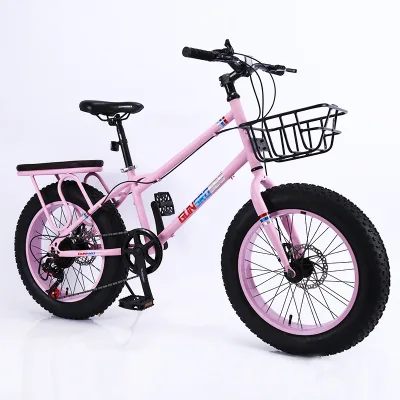 20 Inch Sandbeach Snow Mountain Bike Dual Disc Brake Fat Tire Adult off Road Outdoor Carbon Steel Frame 150kg Load Capacity