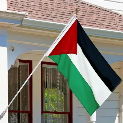 Wholesale 3x5 Foot/Ft Palestine Palestinian Flag National Flag with Brass Grommets