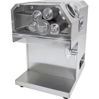 New Arrival Hot Sale Stainless Steel Automatic Commercial Sugarcane Press Juicer, High Yield, 0.75kW, Compatible with 220V/110V