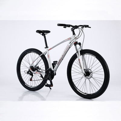 New OEM Mtb Bike Mountain Mtb Frame Paint Peerless Mountain Bicycle With Low Price