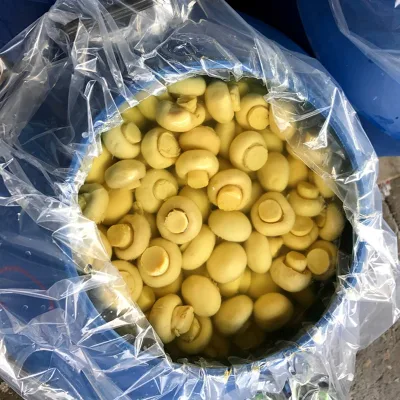 Mushroom in Drums Wholesale Factory Price Bottom Mushrooms