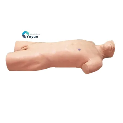 Comprehensive Abdominal Paracentesis Simulator PVC Manikin for Percussion Training-Featuring Abdominal Shifting Dullness