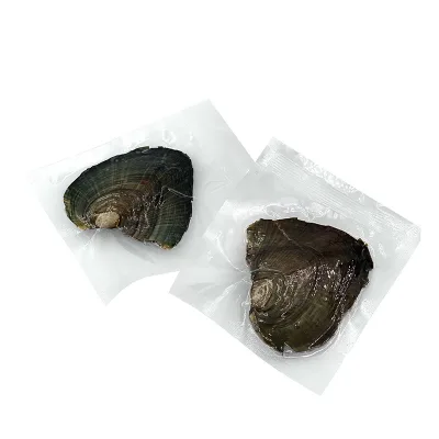 Wholesale Edwin Brand Oyster Shells Natural Pearl 9-11mm Five-Pointed Star Shape Pearls Freshwater Oysters Vacuum-Packed