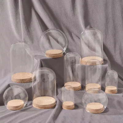 Hot Selling Wholesale Price Available Different Sizes Small Glass Dome with Cork Base
