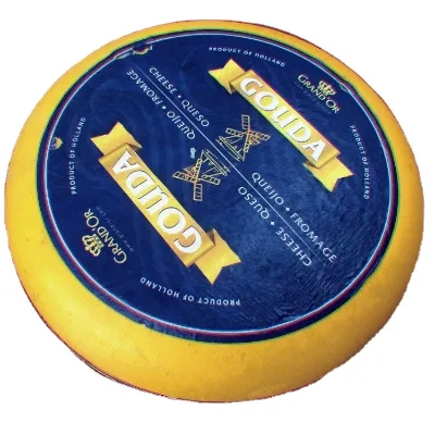 HS Plastic Cheese Mould Cake Decorating Mould