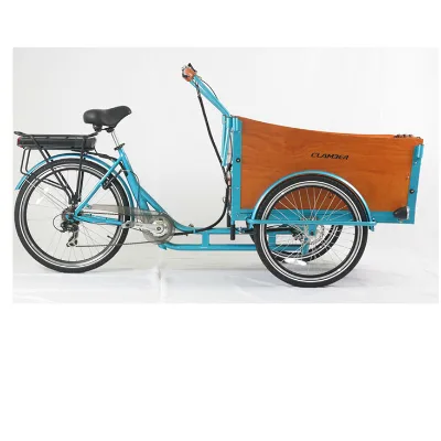 Electric Family Cargo Bike/dutch Electric Tricycle / 3 Wheel Cargo Trike with Hydraulic Disc Brake .
