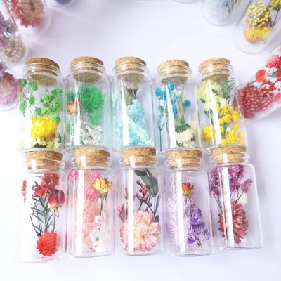 Wishing Bottle with Dried Natural Flowers Small Bouquets Roses Immortal Qixi Valentine's Day Decorations Gifts for Girlfriend