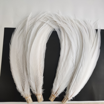 70-75cm Natural Silver Pheasant Feathers for Craft Costume Wedding Feathers
