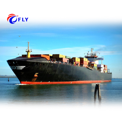 WYD Logistics Shipping Company LCL Sea Freight Forwarder Carrier