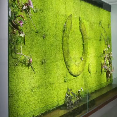 Home Decor Real Natural Stabilized Preserved Evergreen Moss Reindeer Moss Wall Natural Loose Craft Moss for Wall Decor