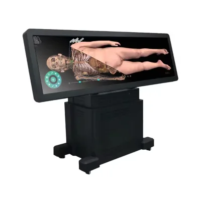 3D Human Anatomy System Anatomage 3D Body HD Digihuman Virtual Anatomage Table