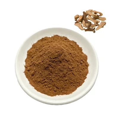 Best Selling Alpinia Officinarum Lesser Galangal Extract Galangal Rhizome Factory Price