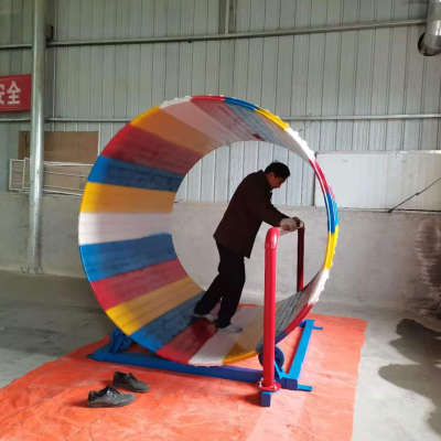 Outdoor Amusement Park Moonwalk Walking Roller on Playground