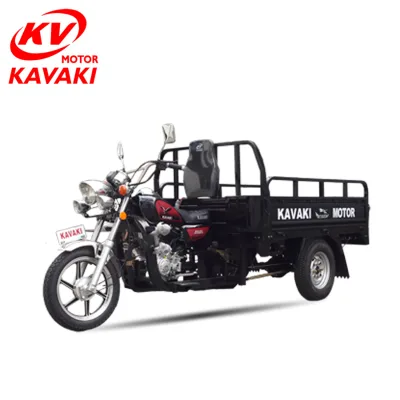 Motorcycle Truck 3-wheel Electric Tricycle Battery Parts