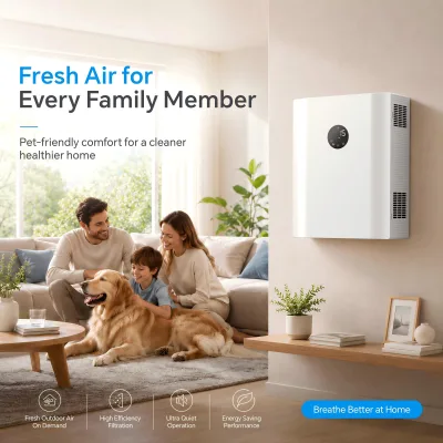 Durable 90% Ventilator Air Circulation Temperature Exchange Manual ERV Nursery Effective Ventilation System