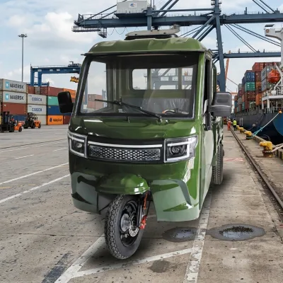 Hot Selling 2026 New Designed 2000w 3000W Cargo Triciclo Electrico Electric Cargo Tricycles for Family Use