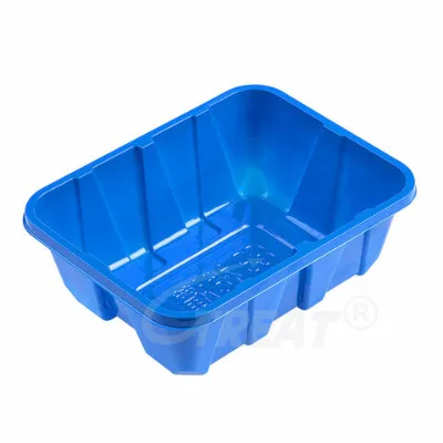 New Arrival Wholesale Vegetable Clamshell Blue Color 250g Mushroom Container PET Plastic Container Disposable Plastic Container