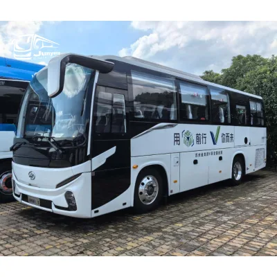 New Branded Higer Bus with Updated Design and Sca Nia Components V9 (KLQ6889K)