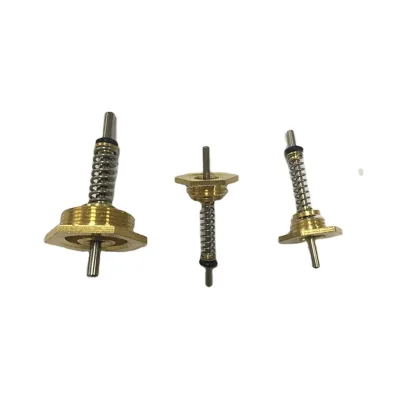 Gas Water Heater Spare Parts Ckd Valve Thimble Spring Pin Needle 10mm, 12mm, 14mm, 20mm