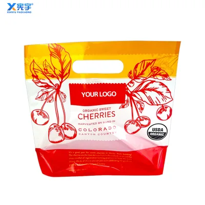 Customizable Printed Logo PP Zipper Tote Bags for Food Storage Moisture Proof Milk & Snacks Packaging
