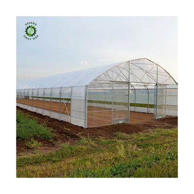 Agricultural Greenhouses Mushroom Greenhouses Use Coco Peat Grow Vegetables For Sales