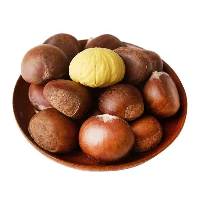 New Harvest Crop Chinese Fresh Chestnut in Shell Best Price